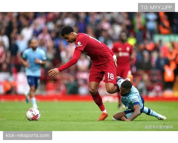 布伦特福德阵容深度解析：新赛季稳扎稳打，冲击更高排名可期