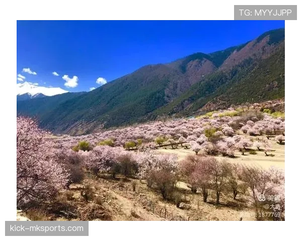 魏秋月上场像军训教官，下场像会打扮的有钱邻居——这反差让人嗑不完